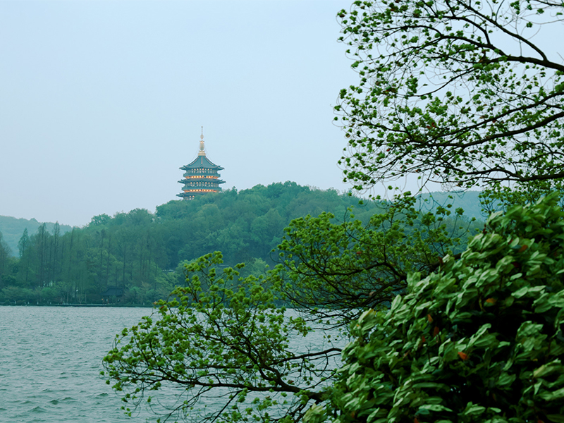 人文杭州，父母?jìng)儊?lái)了！河南礦山第十三屆孝文化感恩旅游節(jié)第三站